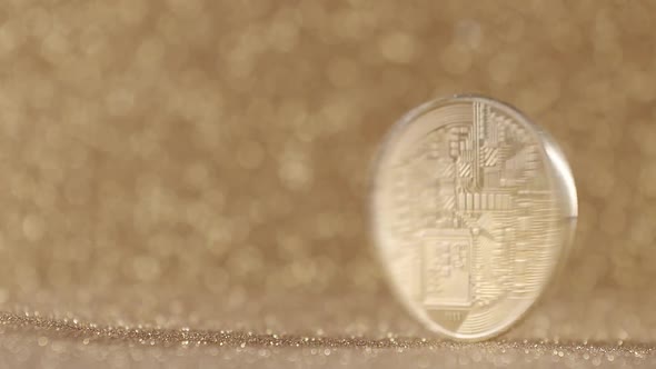 Bitcoin Gold BTC Coin alt