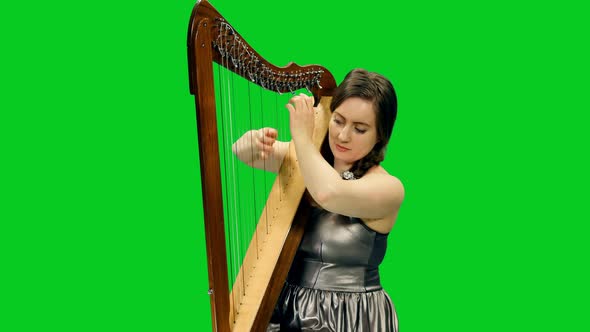Charming Woman Playing Harp On Green Screen