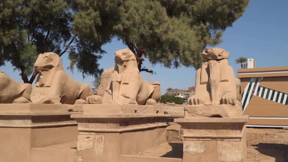 Avenue of sphinxes with ram's head. Karnak Temple