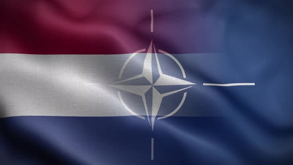 Nato Netherlands Flag Loop Background 4K