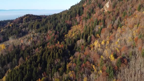 Drone shot ing backwards) of a Colourful Autumn Mountainside covered in Forest alt