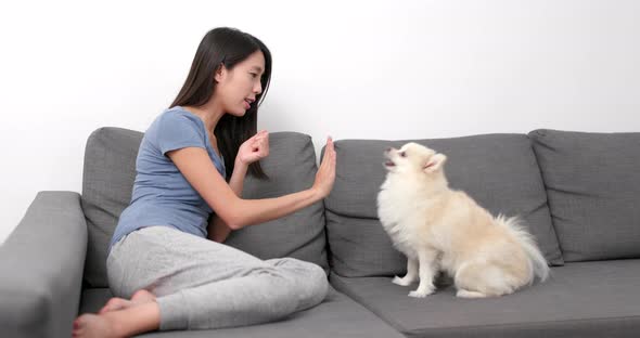 Woman training her dog at home alt
