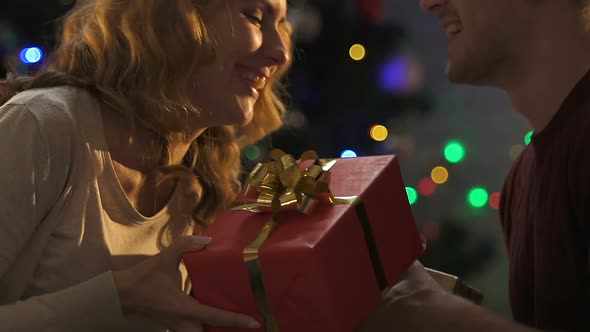 Happy Lovers Exchanging Gifts at Christmas, Expressing Childish Joy and Kissing alt