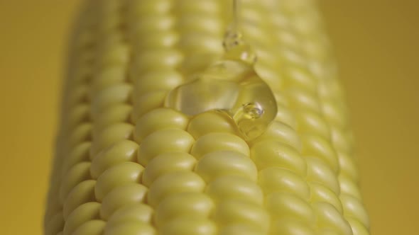 Trickle of Thick Viscous Honey or Oil Flows Onto the Grains of Ripe Yellow Corn alt