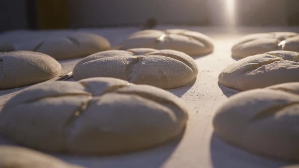 Moving View of Freshly Baked Round Loaves of Tasty Organic Bread on a Table alt