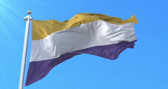 Women's Suffrage Flag, American Suffrage Movement alt