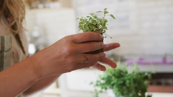 Smiling caucasian woman tending to potted plants standing in sunny cottage kitchen alt