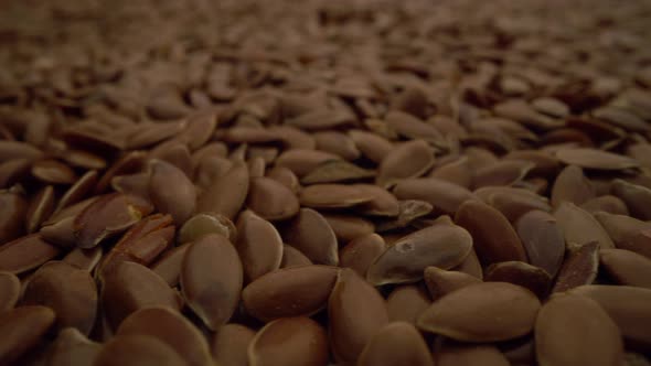 Seed of Flax Is Closeup Motion Background