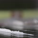 Man Sniffing Cocaine Through A Hundred Dollar Bill - VideoHive Item for Sale