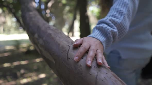 Close Up Woman Hand's That Touching on Tree Trunk in the Forest