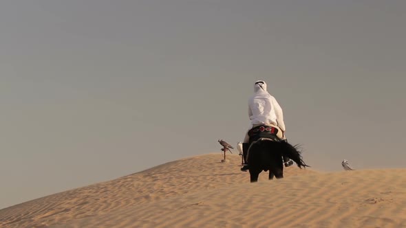 Arabian Horse Rider Riding on Desert in Dubai alt