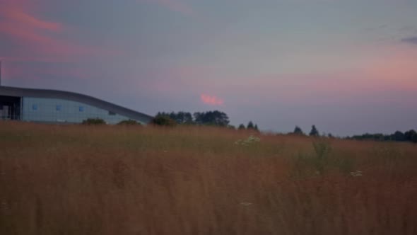 Golden Grass Sunset Landscape in Golf Park Field alt