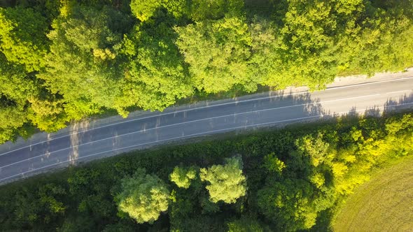 Car On The Road