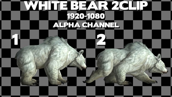 White Bear 2 Clip Alpha Loop