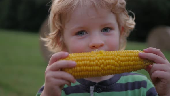 Blonde Young Boy with Curly Hair Eating Corn on the Cob