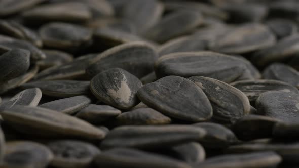 Cinematic, rotating shot of sunflower seeds on a white surface - SUNFLOWER SEEDS 020 alt