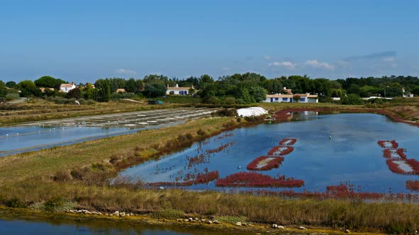 Noirmoutier-en-l'Île, Noirmoutier island,Bay of Biscay, Vendée, France alt