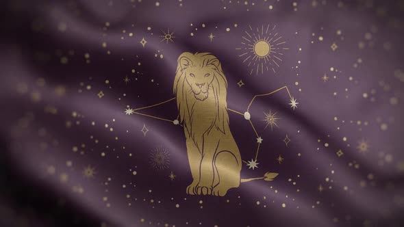 Leo Zodiac Horoscope Video Flag Textured Background Front HD