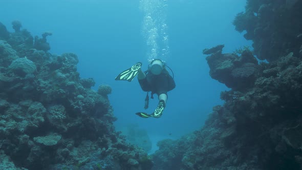 A female scuba diver swims through a section of reef structure in clear blue tropical water alt