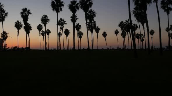 Silhouettes Palm Trees and People Walk on Beach at Sunset California Coast USA