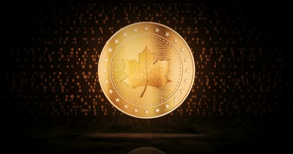 Maple Leaf canadian golden coin loop on digital background alt