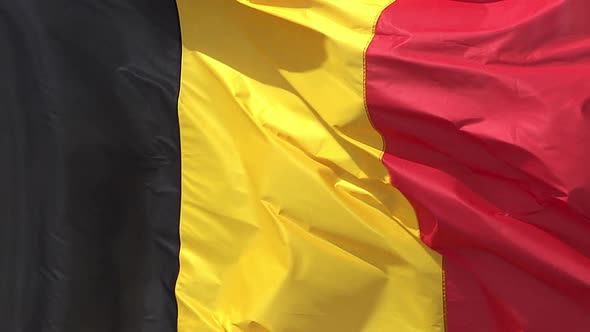 700765 Belgian Flag Waving in the Wind, Slow Motion alt