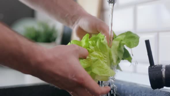 Washing Vegetables under Tap Water, Cleaning Salad before Cooking in the Kitchen, Slow Motion alt