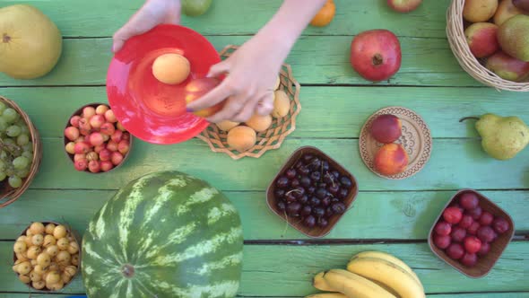 Fruits on Green Ecological Background alt