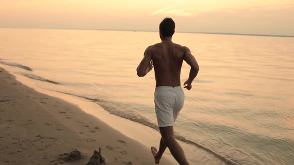 Beautiful Gentle Sunrise or Sunset and a Fog alt