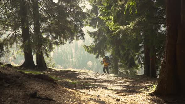 A Man with a Backpack Travels in a Beautiful Forest alt