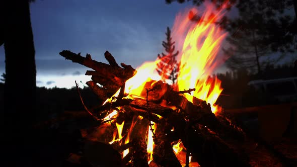 Bonfire Bburning At Night