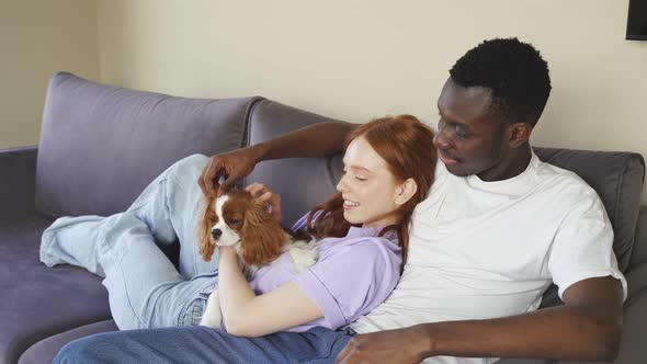 The Couple Has a Pet Spaniel They Hug and Caress the Animal Expressing Love Tenderness and Affection