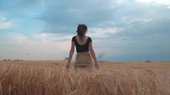 Girl Walks The Wheat Field At Sunset alt