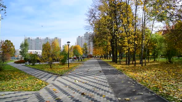 Beautiful City Autumn Park During Leaf Fall in Moscow, Russia