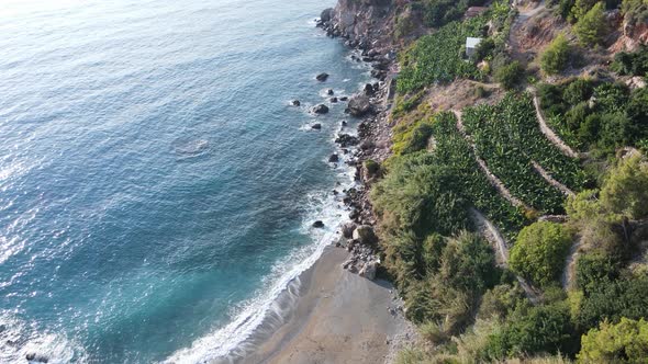 Shore of the Mediterranean Sea : Turkey Mountain Coastline alt