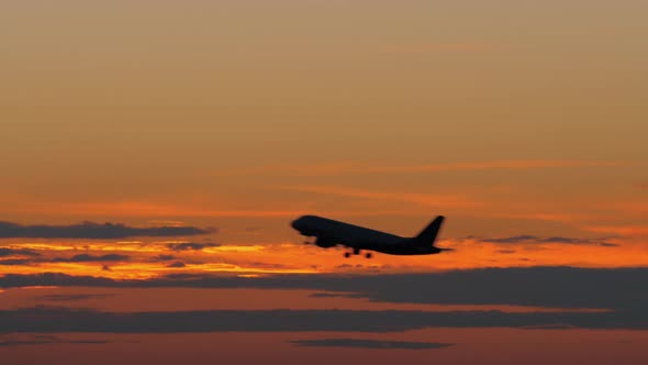 Airplane black silhouette flying against golden evening sky alt