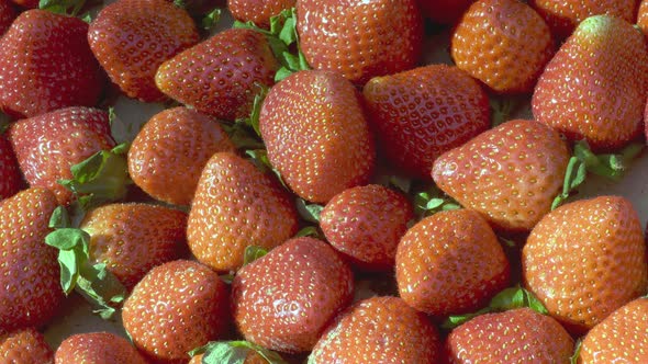Closeup Shot of Strawberries on a Sunny Day