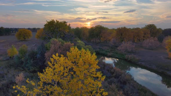 Full fall regalia in leaf and cloud as this spectacular sunset is imitated by the leaves below. alt