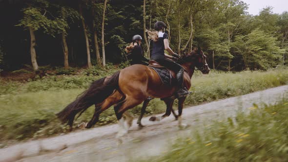Two Female Equestrian Mounted in Speedy Majestic Horses By the Lush Forest alt