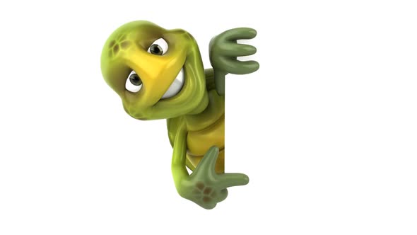 Fun turtle alt
