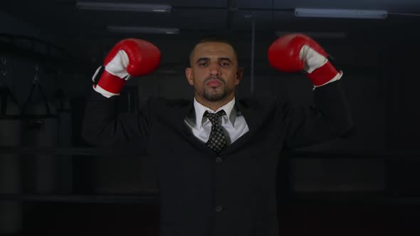 Business Man With Boxing Gloves 32