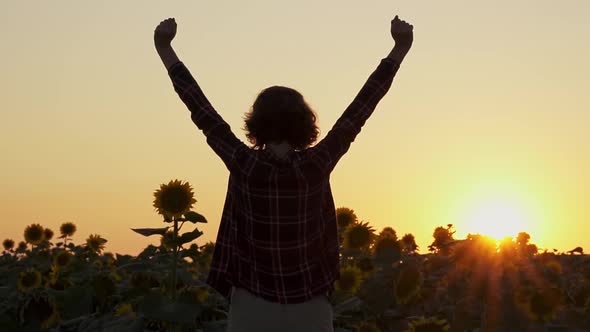 Woman Businessman Stands With Hands Up. Gesture Indicates Achievement Of Goal. Girl On Sunset alt