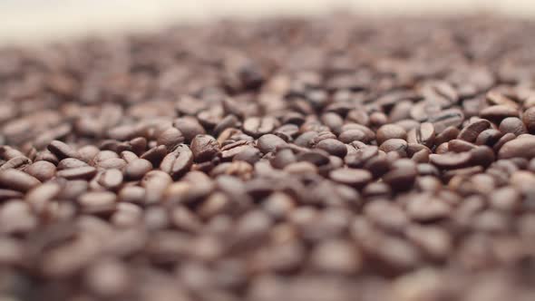 Focus on a Bunch of Roasted Coffee Beans Close Up alt