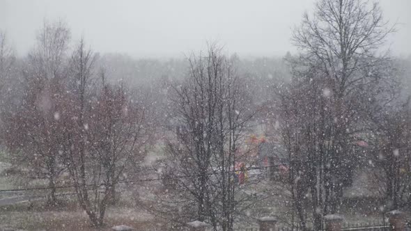 Falling snow flakes on the background of bare trees, window view. Slow motion.