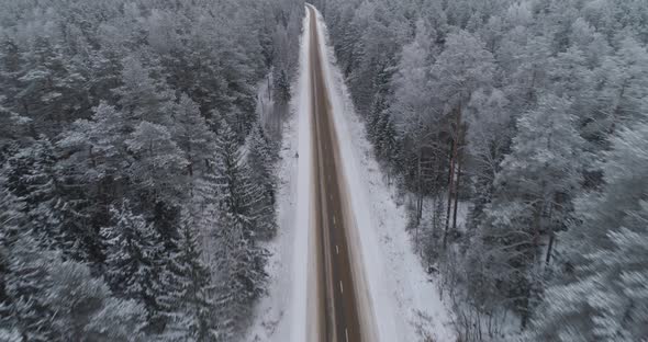 Winter Road in the Forest alt