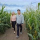Young Active Multi-ethnic Couple Having Fun in a Corn Maze - VideoHive Item for Sale