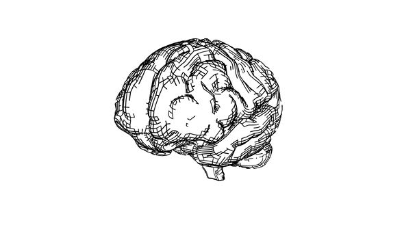 Sketch Style Human Brain Black on White Background Looped Animation alt