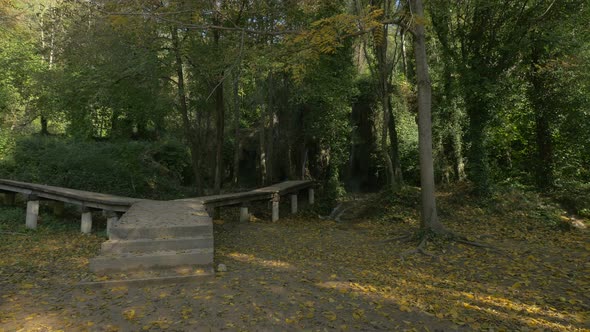 Wooden alleys and a spring flowing alt