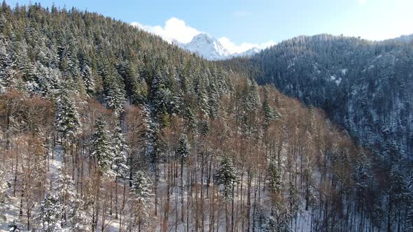 Drone over a forest in Tatra Mountains, Giewont massif in the background, Poland alt