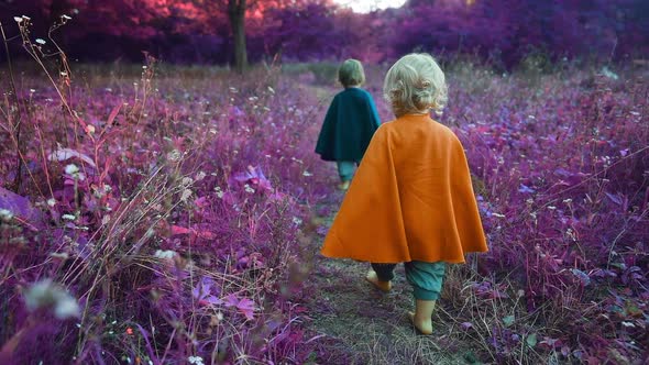 Two Little Toddler Boys Cosplay Gnomes in Long Capes Walking Barefoot in Wonderland alt